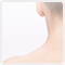 首・肩の症状：エルカイロプラクティック川崎
